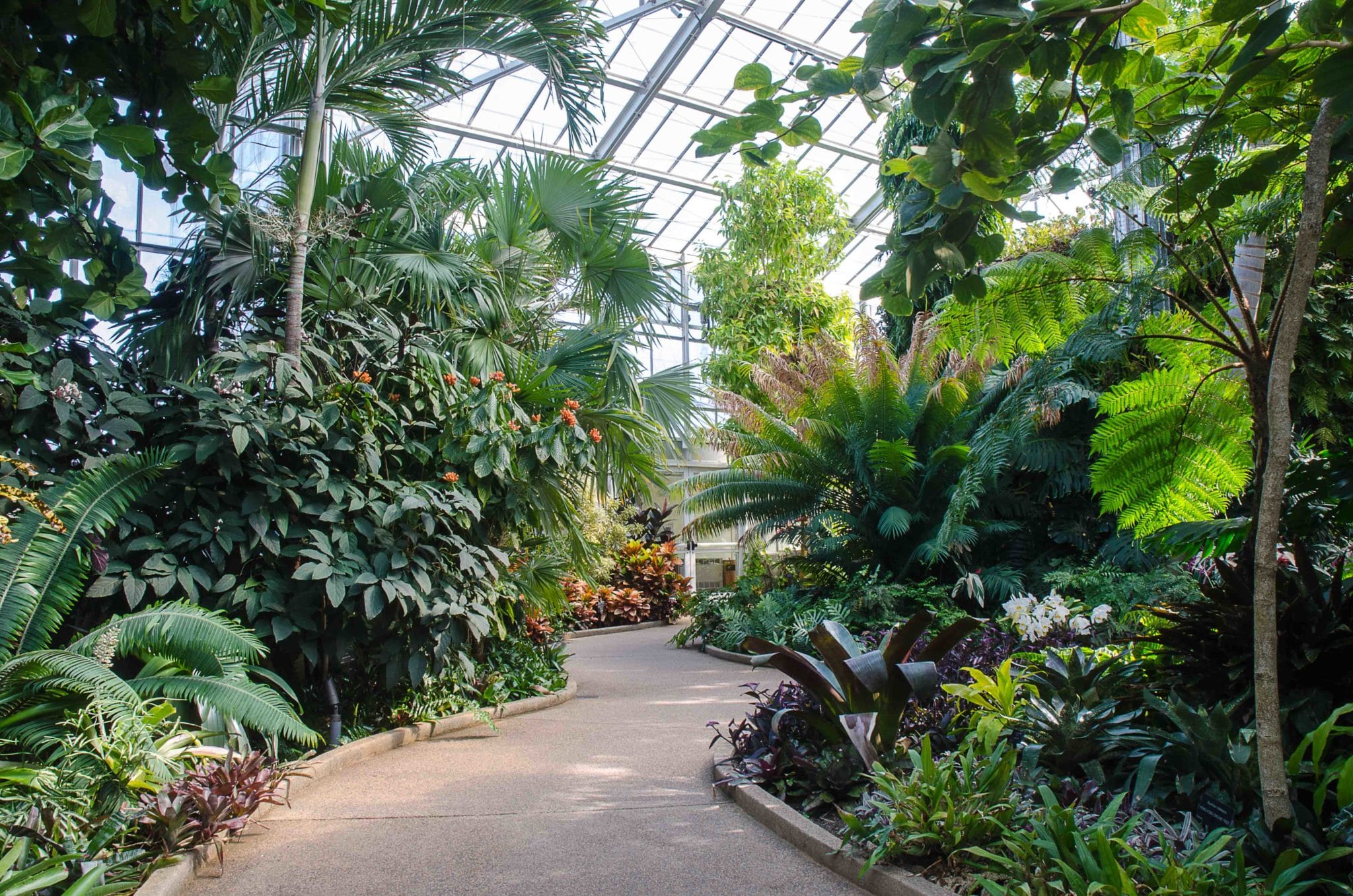 OrchidConservatory-2-By-Craig-Neil-McCausland