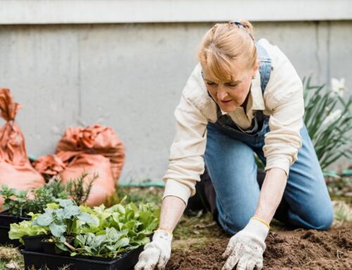 Get Involved: Volunteer!