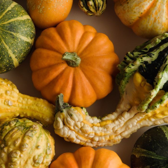 Gourds