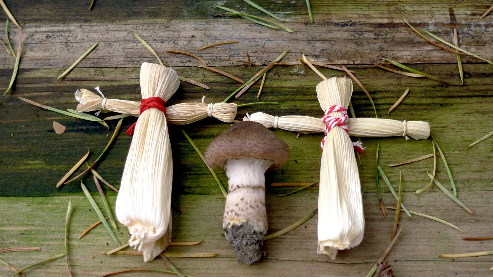 Corn Husk
