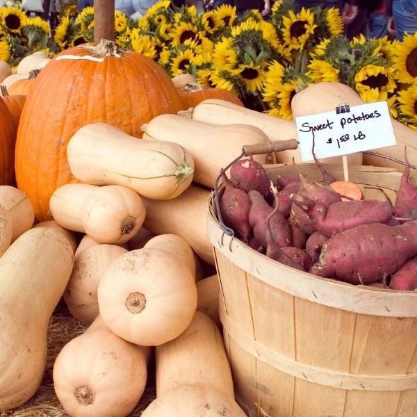 Harvest Market