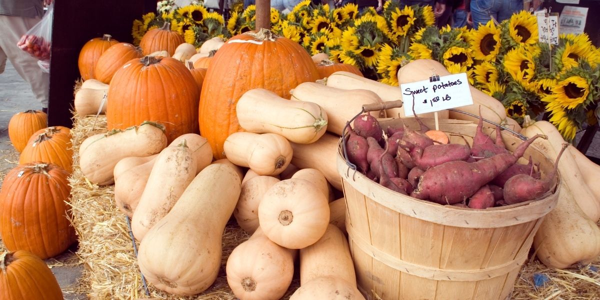 Harvest Market