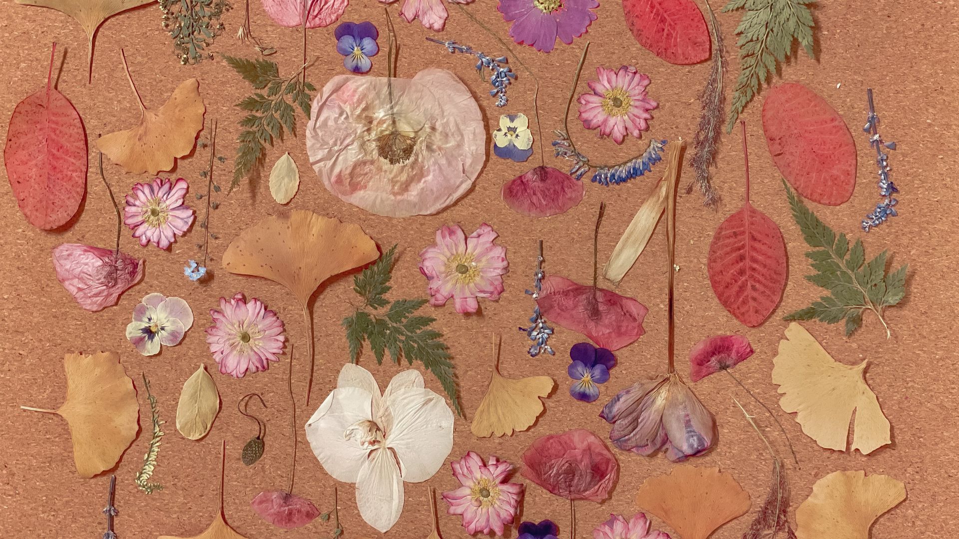 Pressed Flowers