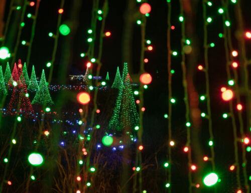 Holiday Giving Opportunities