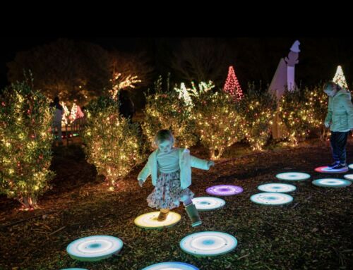 The Ultimate Guide to Holidays at the Garden