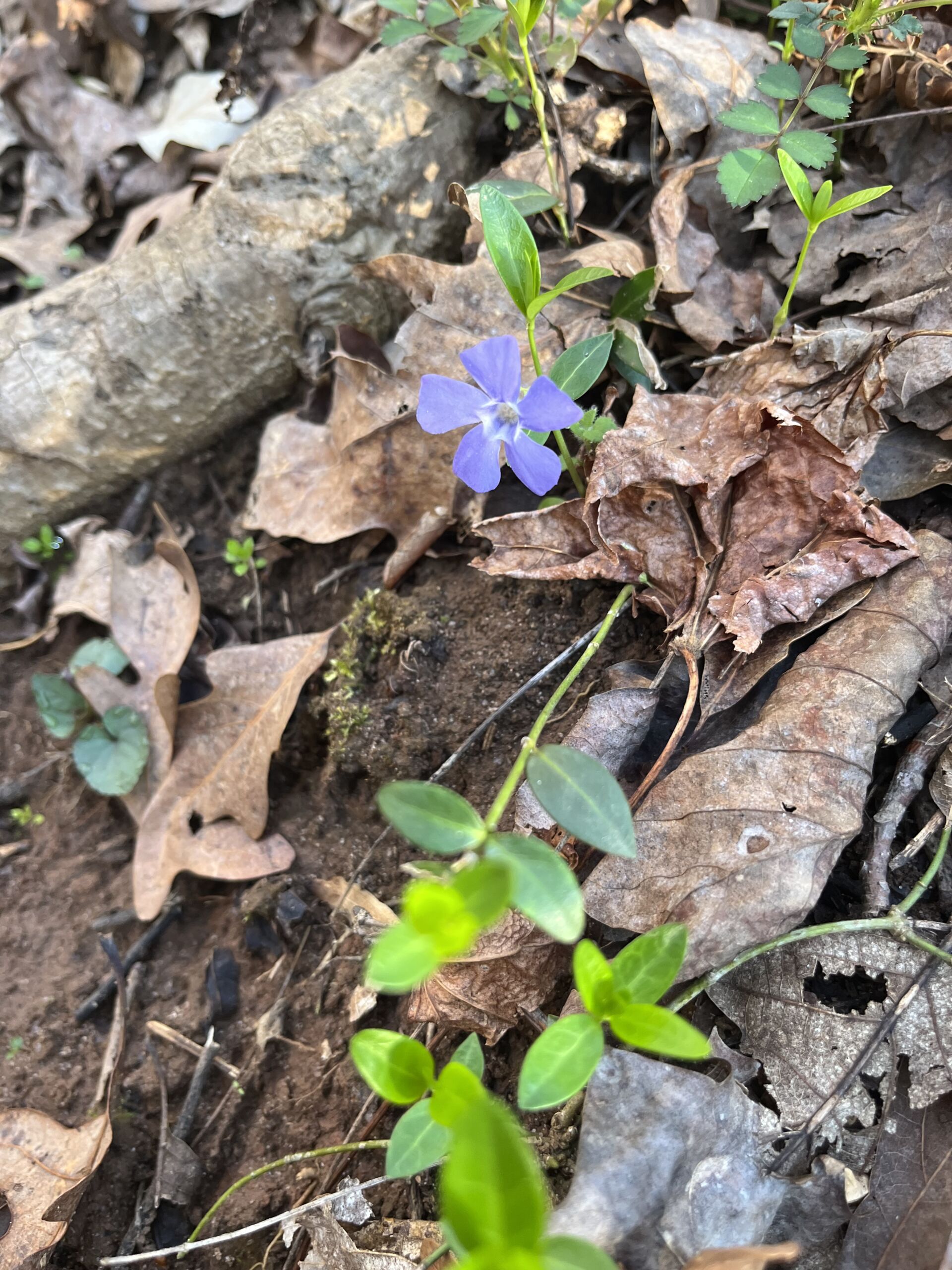 20260310_132603122_iOS