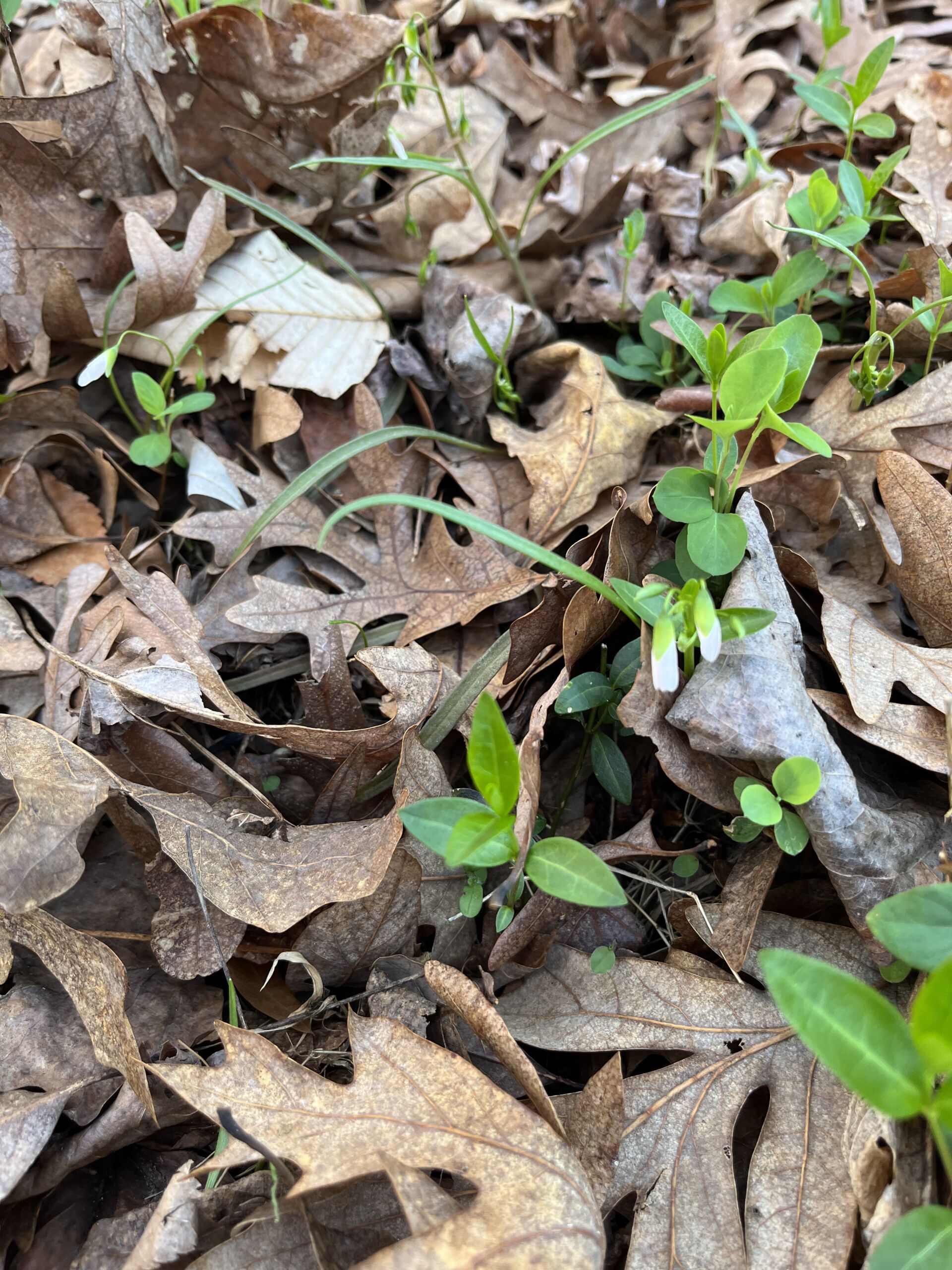 20260310_132719523_iOS