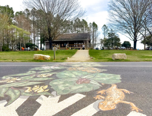 Free Things to Do at Stowe