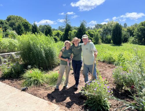 Find Your Path to Nature Through Volunteering