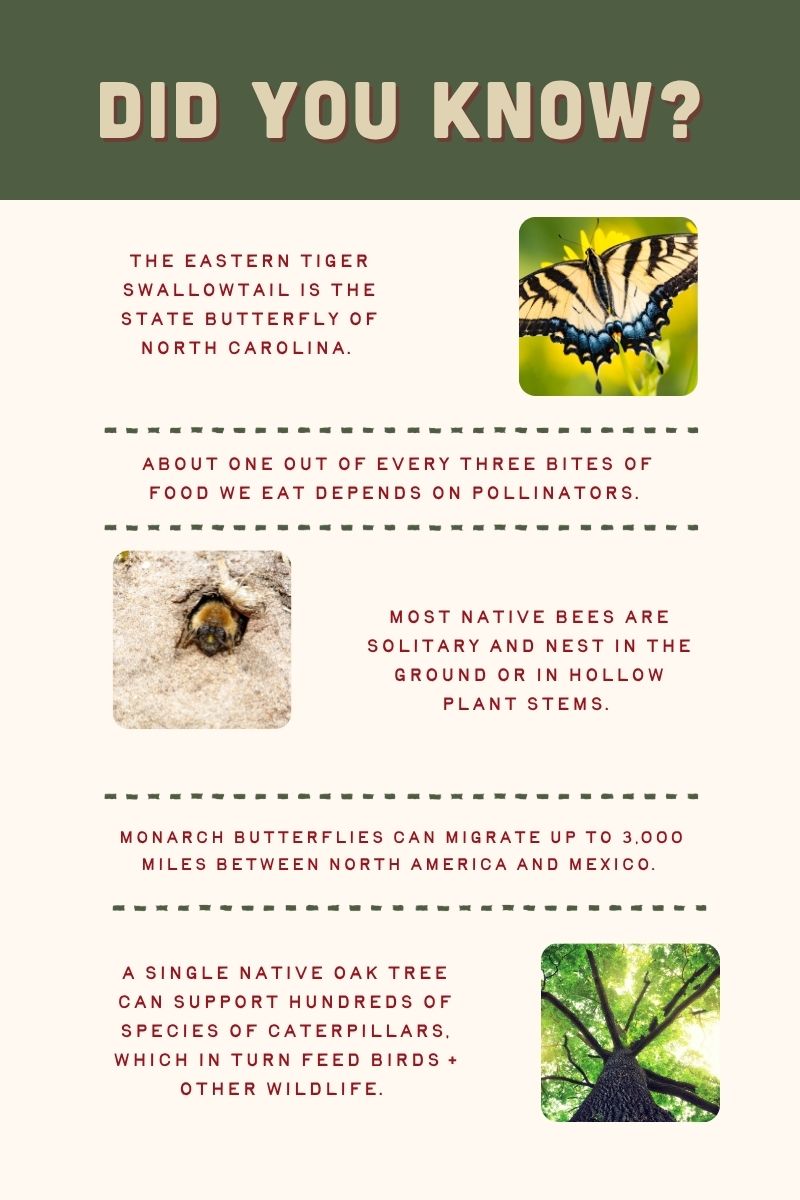 Did You Know
