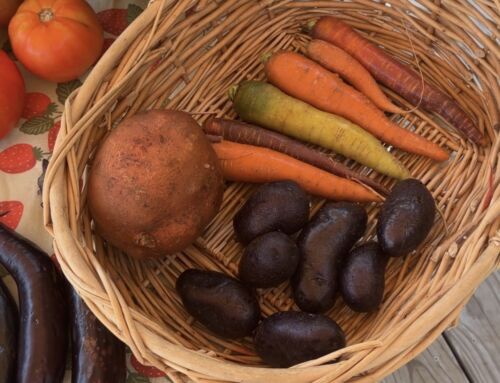 Seasonal Recipes from The Farmhouse