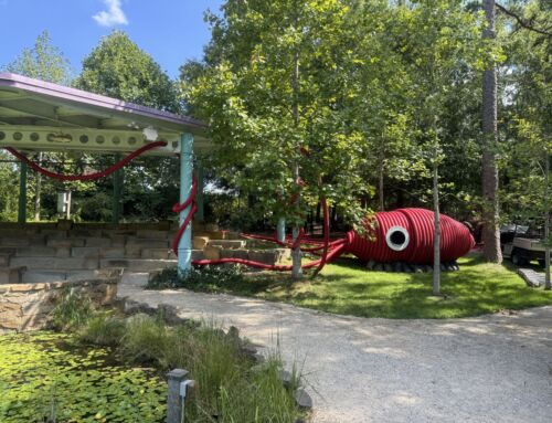 Lotty the Squid Makes a Splash at Stowe