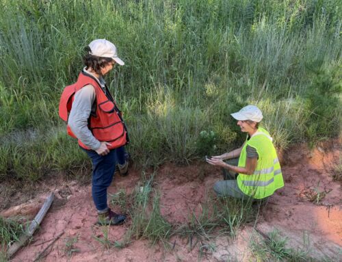 Conservation Corner: Fall 2026